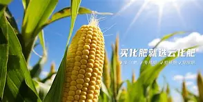 开云官网-?~滴zif1|惁麁n尯??&amp;?橺gy(は和が一起使用)