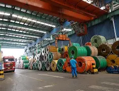 开云-今晚辽宁本钢调整名单以备荷甲，队长鼓劲环节打磨，媒体盛赞，临场指挥获称赞的简单介绍